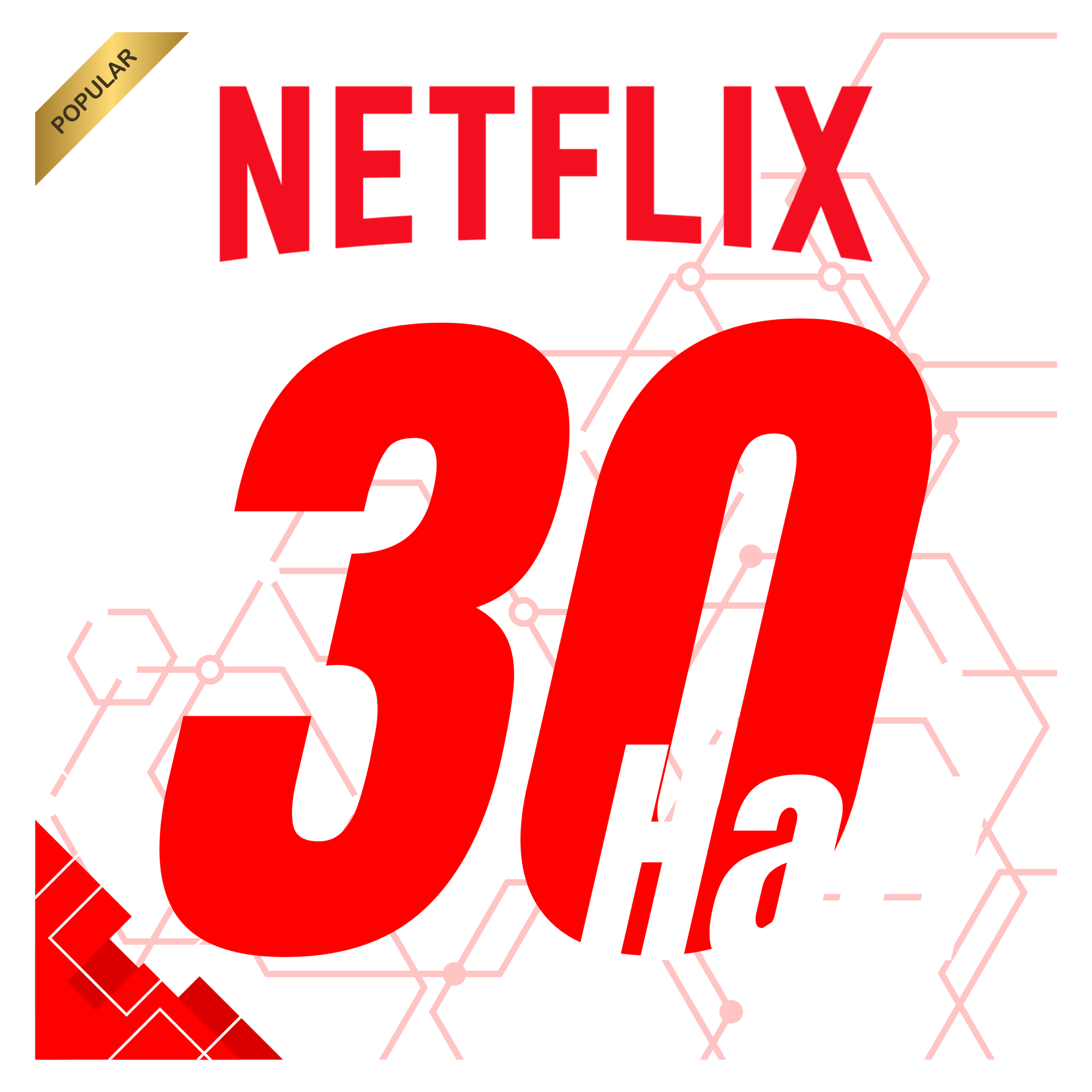 Netflix 30 Days - Gambar 1